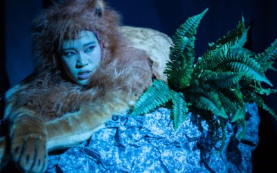 Production Images for Big Zoo